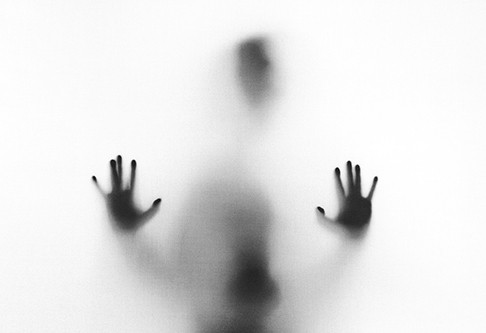 Olivieri Pennesi 73 5