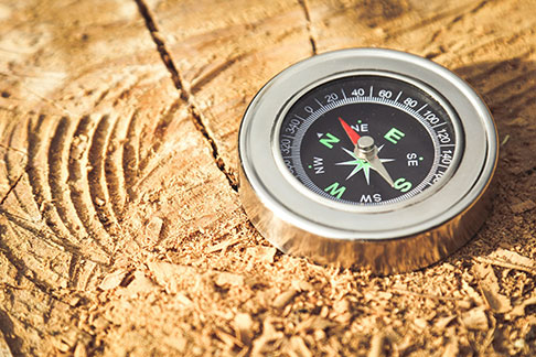 Nibbio 75 6